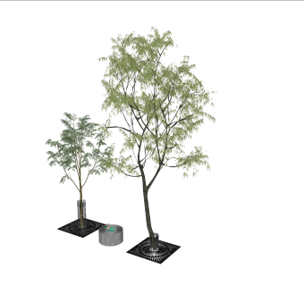 现代景观行道树 3D乔木 树